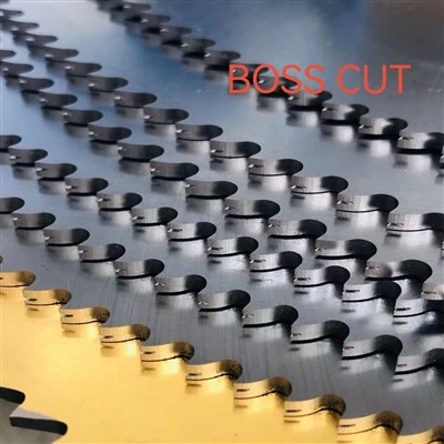 circular saw blade